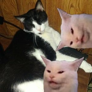 Meet your Posher, Brandy